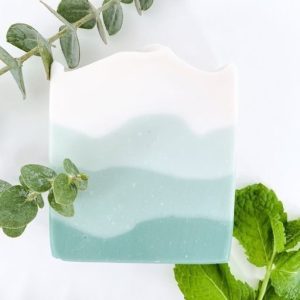 a6e6e8f8d771337b6cc46626bc0f6940 Menthol Eucalyptus